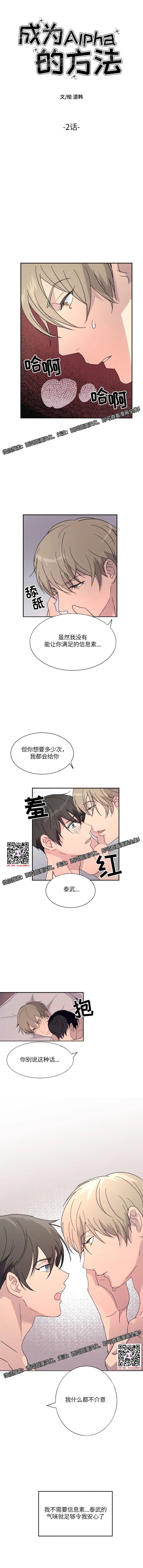 章节图片