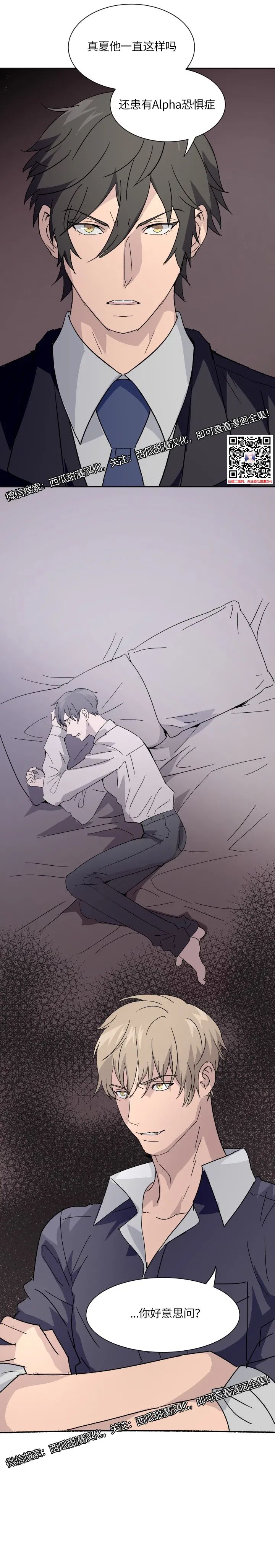 章节图片
