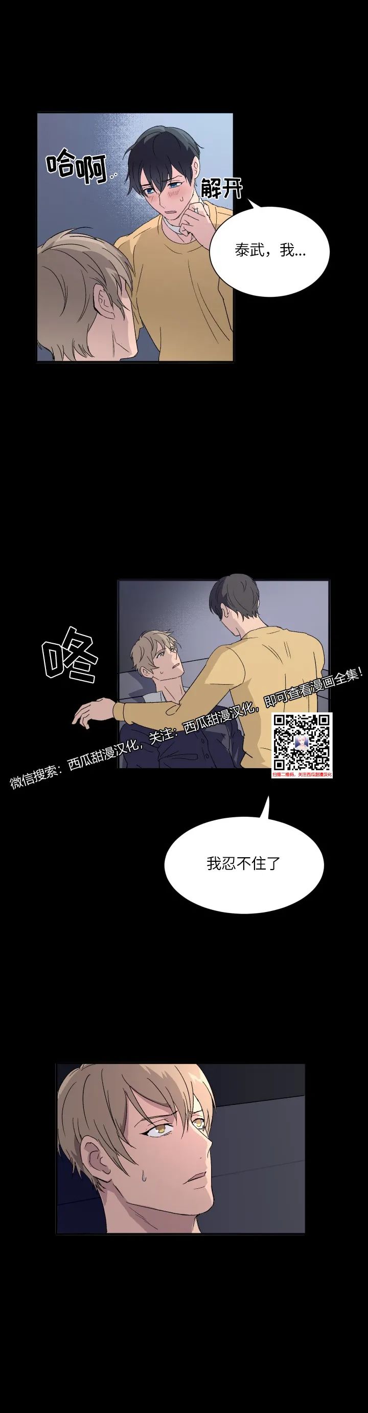 章节图片