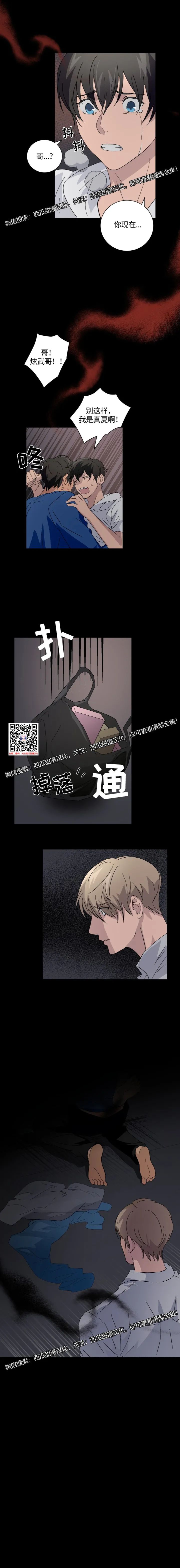 章节图片