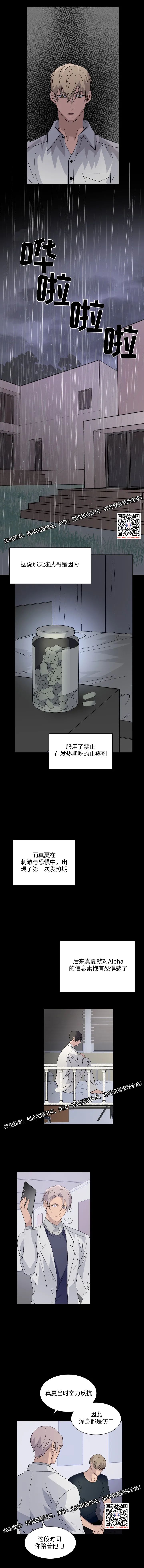 章节图片