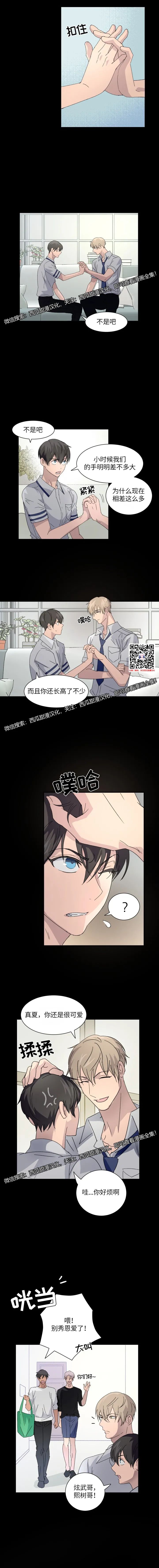 章节图片