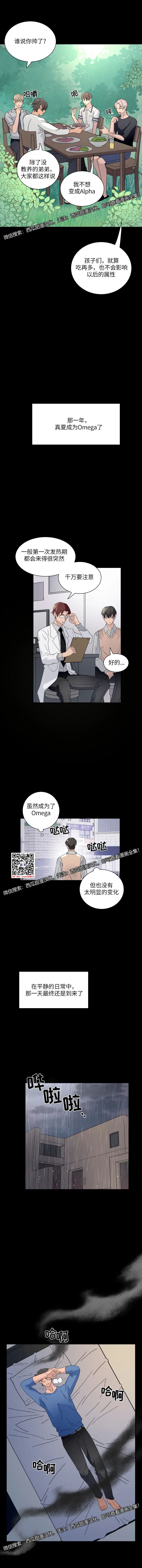 章节图片