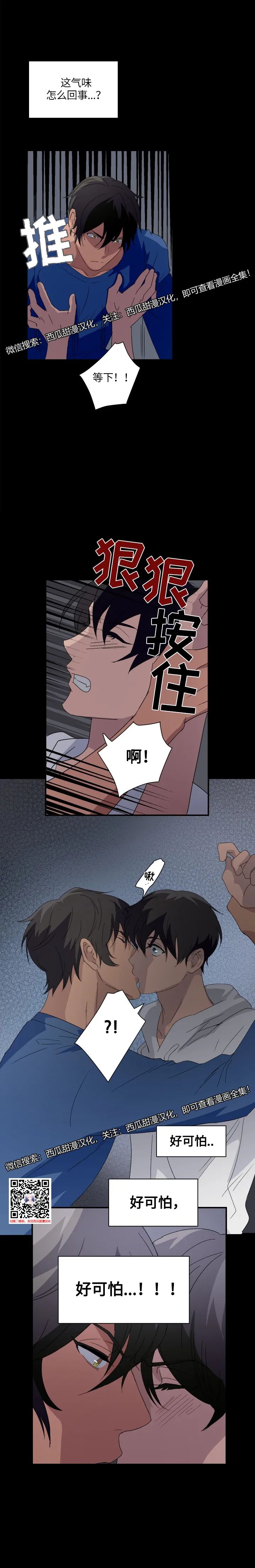 章节图片