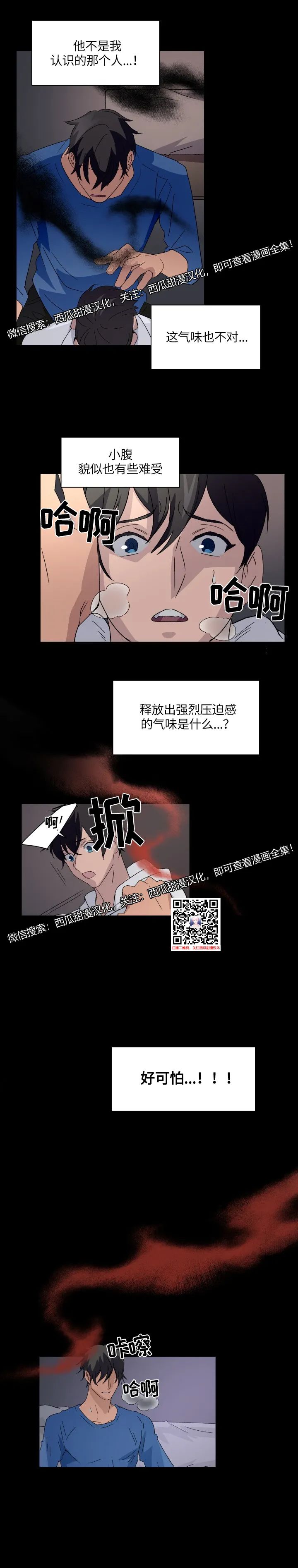 章节图片