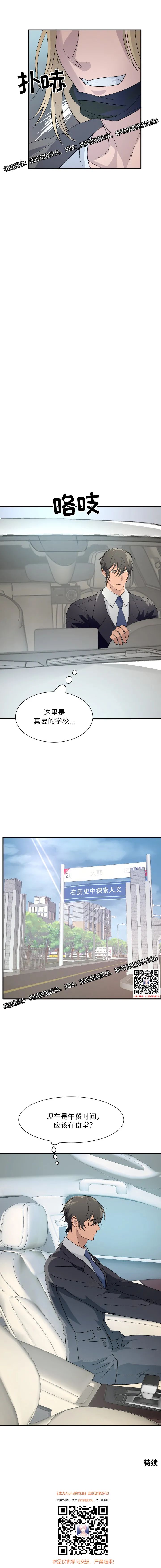 章节图片