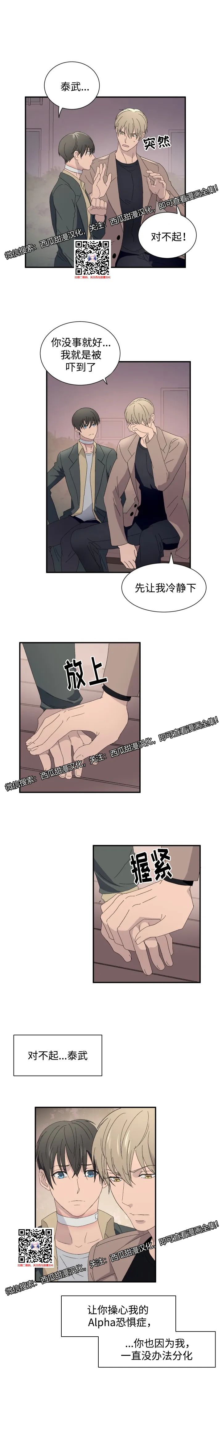 章节图片