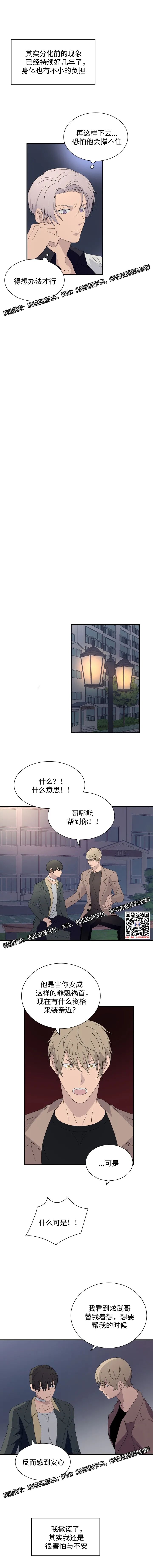 章节图片