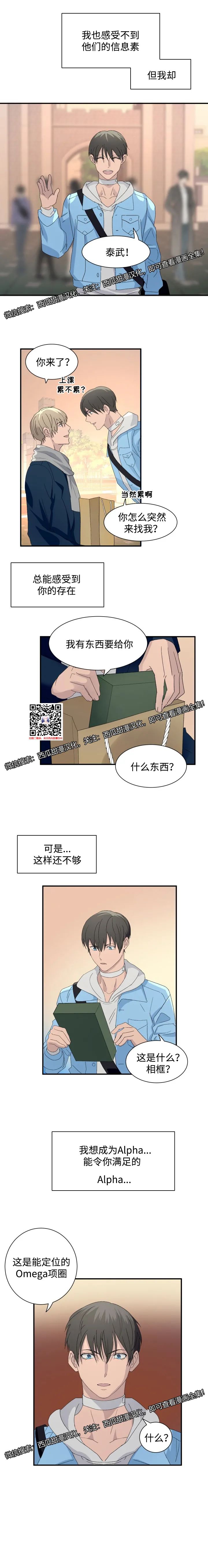 章节图片