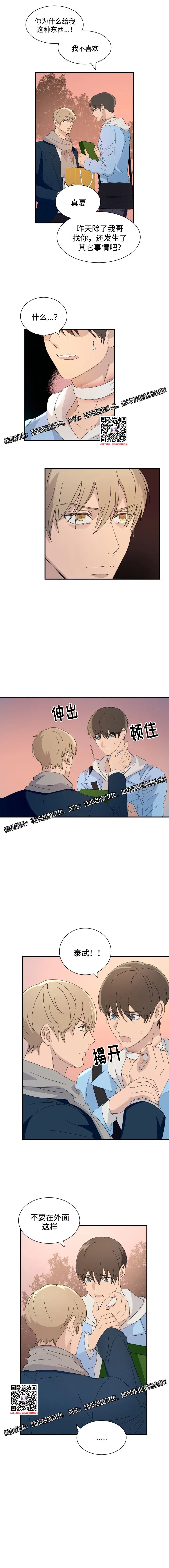 章节图片
