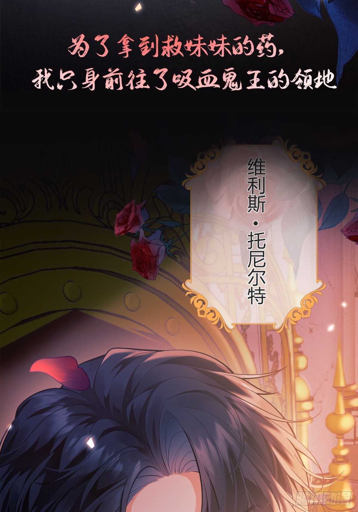 章节图片