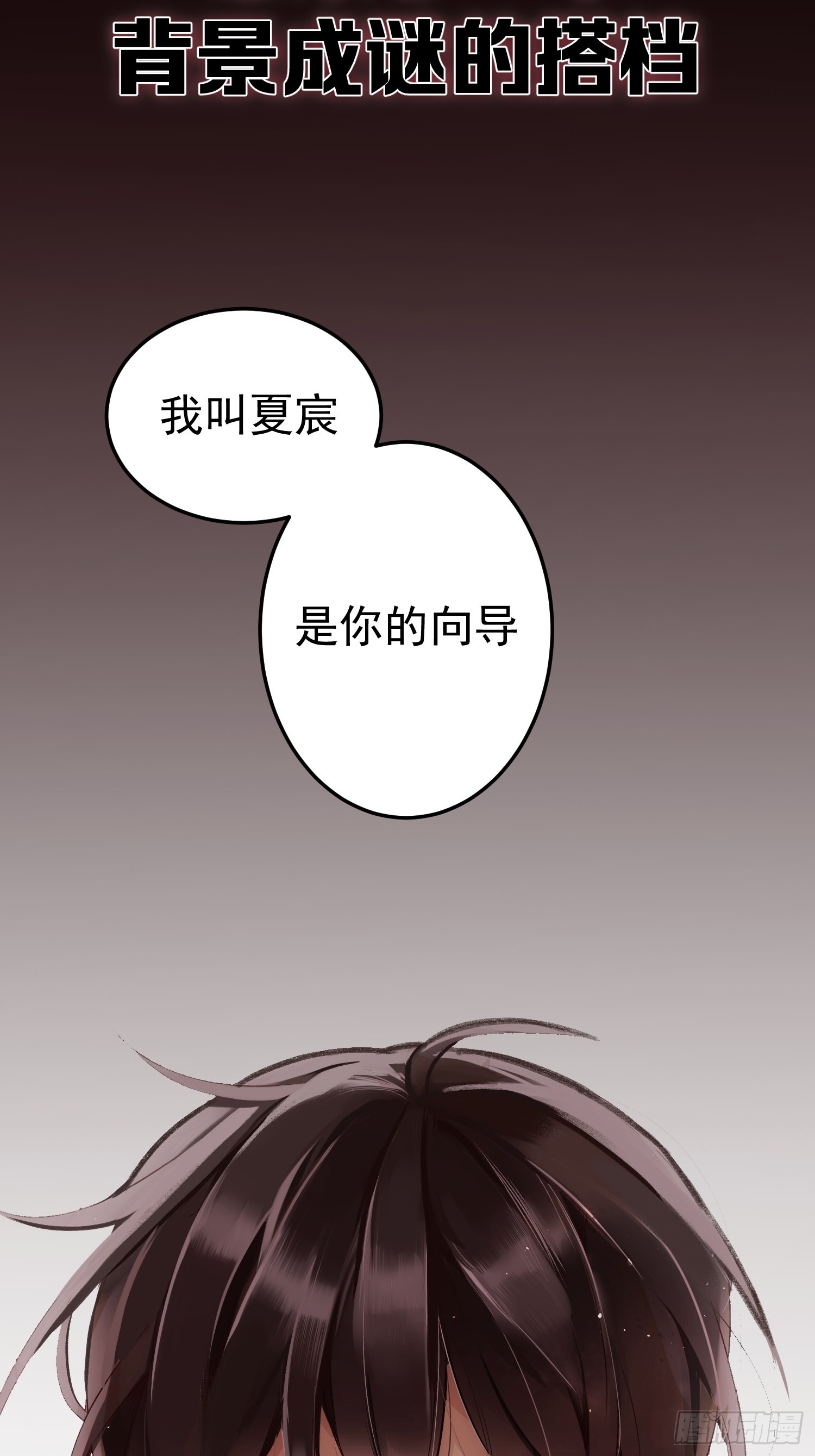 章节图片
