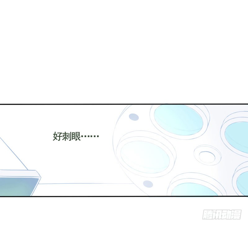 章节图片