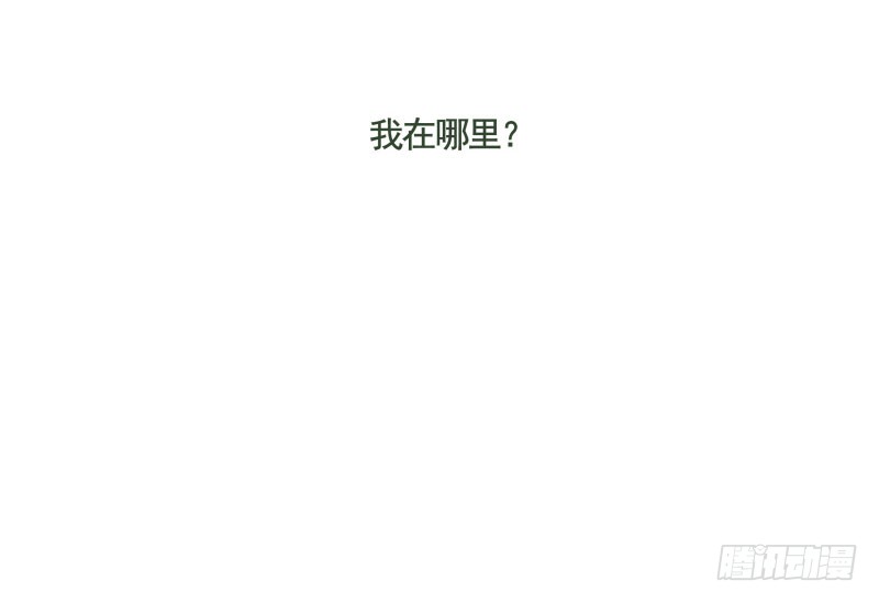 章节图片