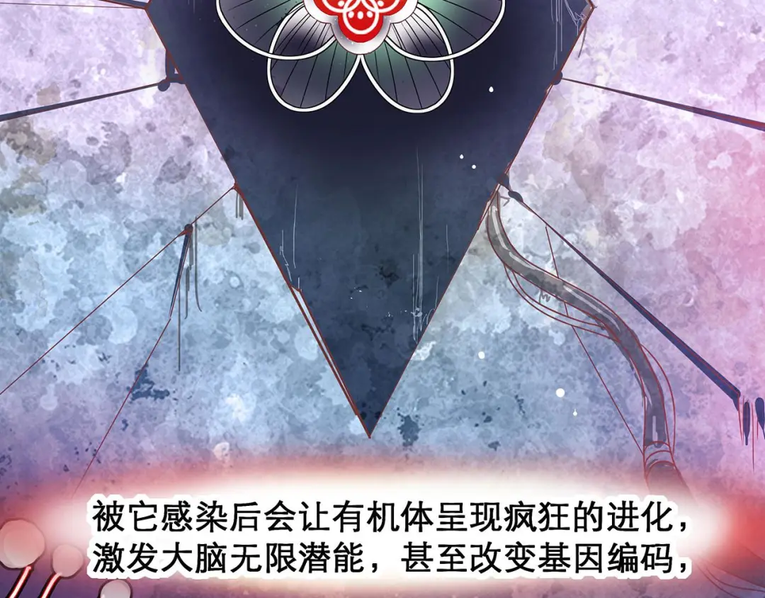 章节图片