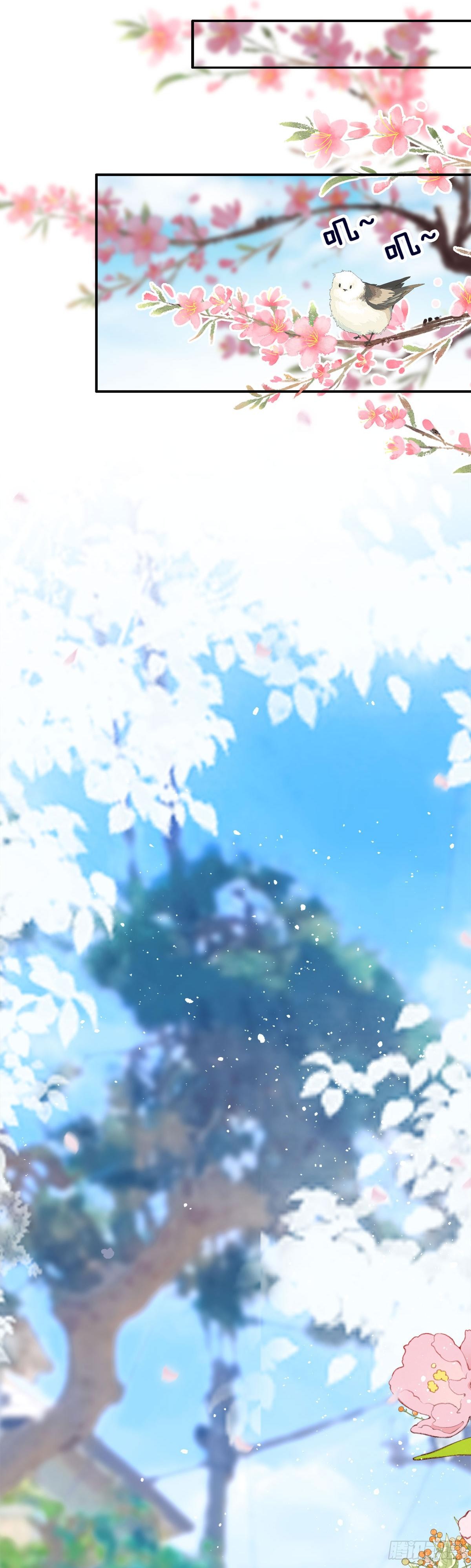 章节图片
