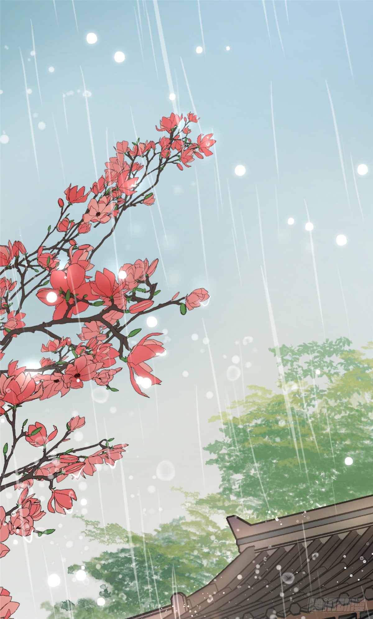 章节图片