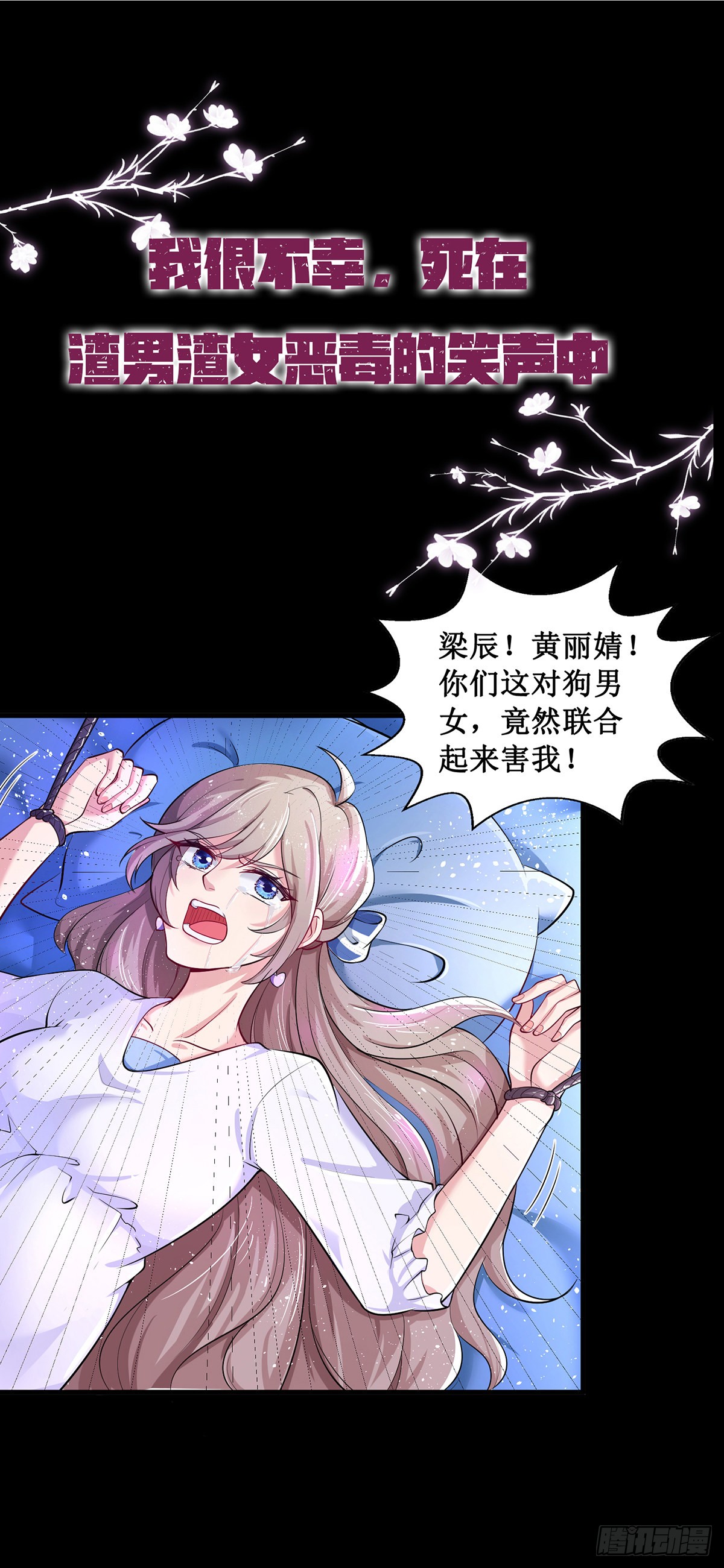 章节图片