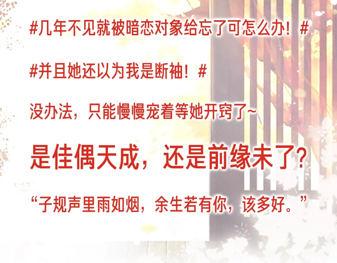 章节图片