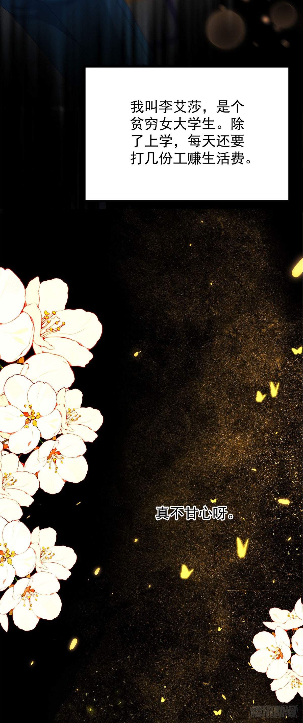 章节图片