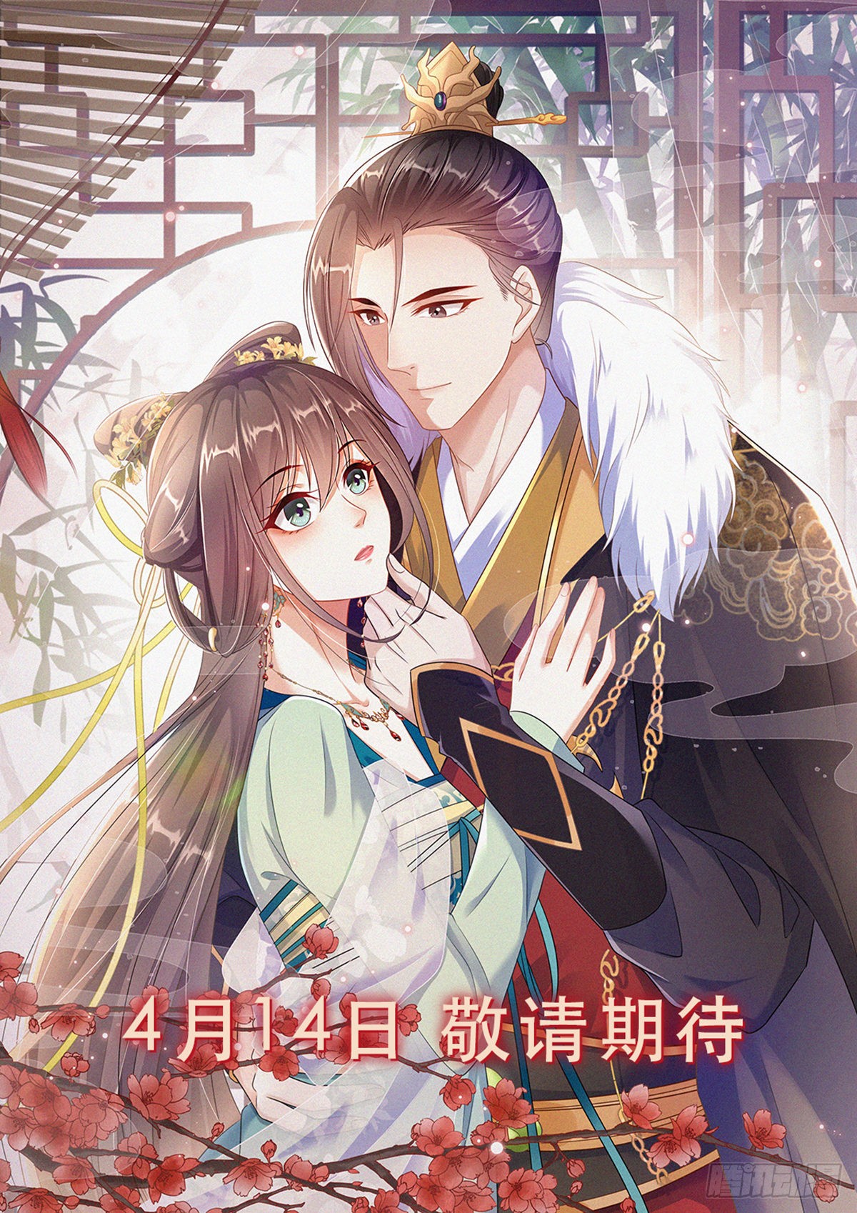 章节图片
