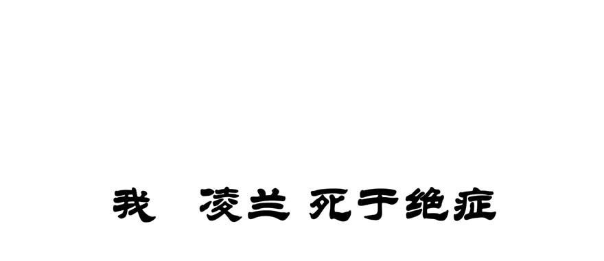 章节图片