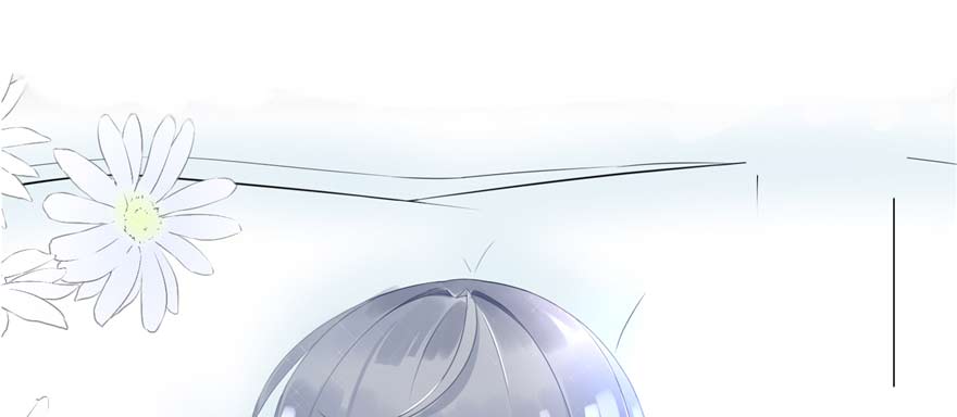 章节图片