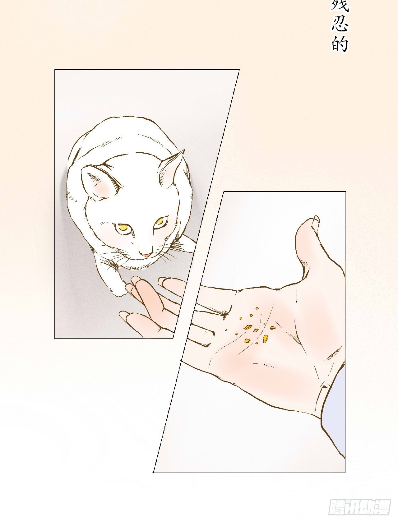 章节图片