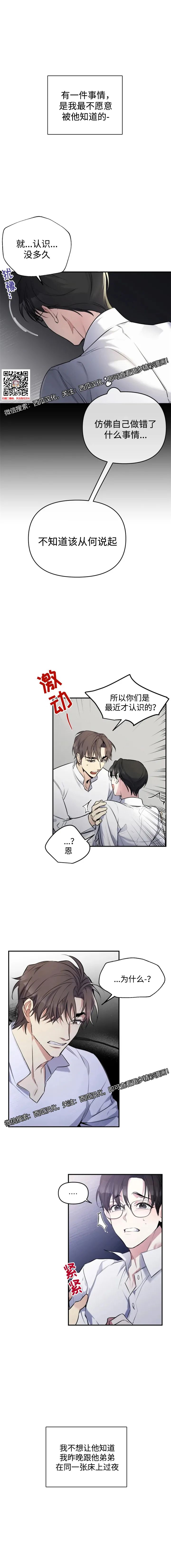 章节图片