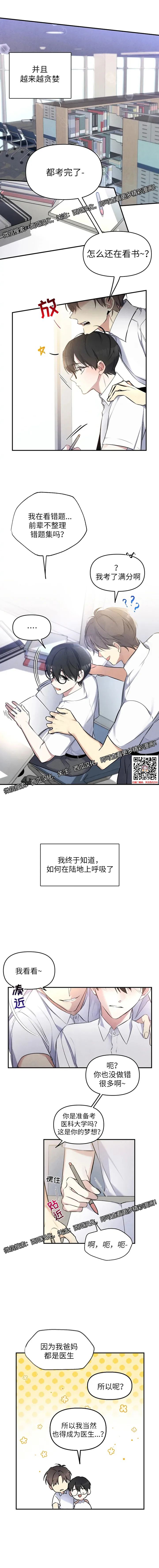 章节图片
