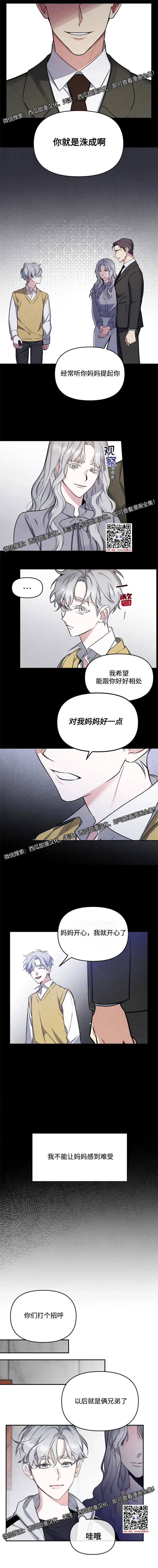 章节图片