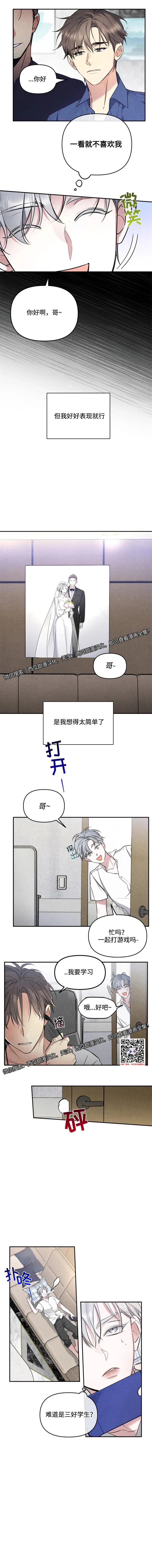 章节图片
