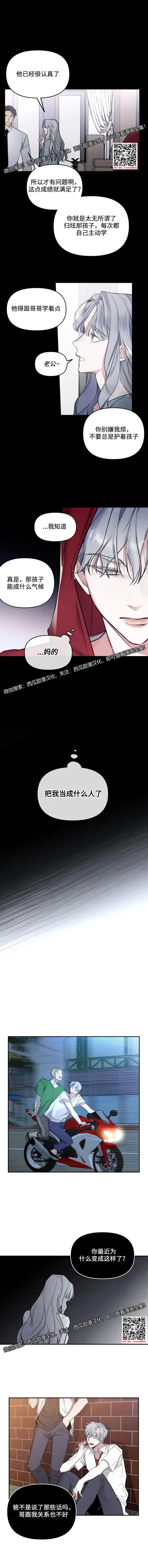 章节图片