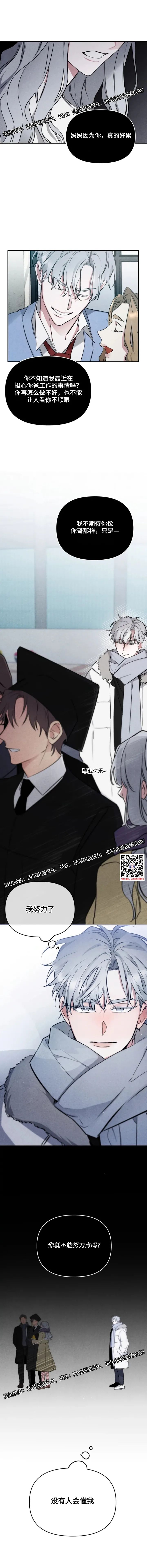 章节图片