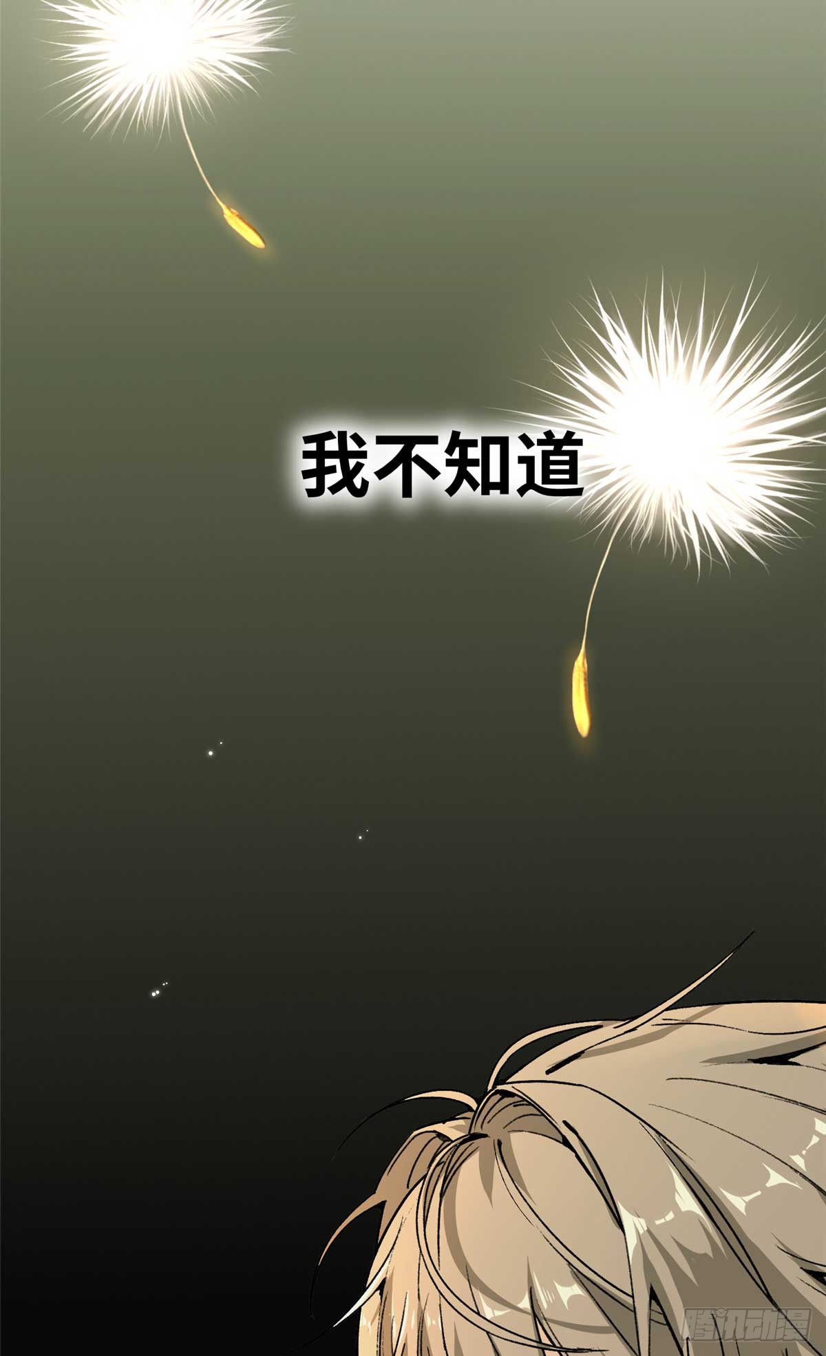 章节图片