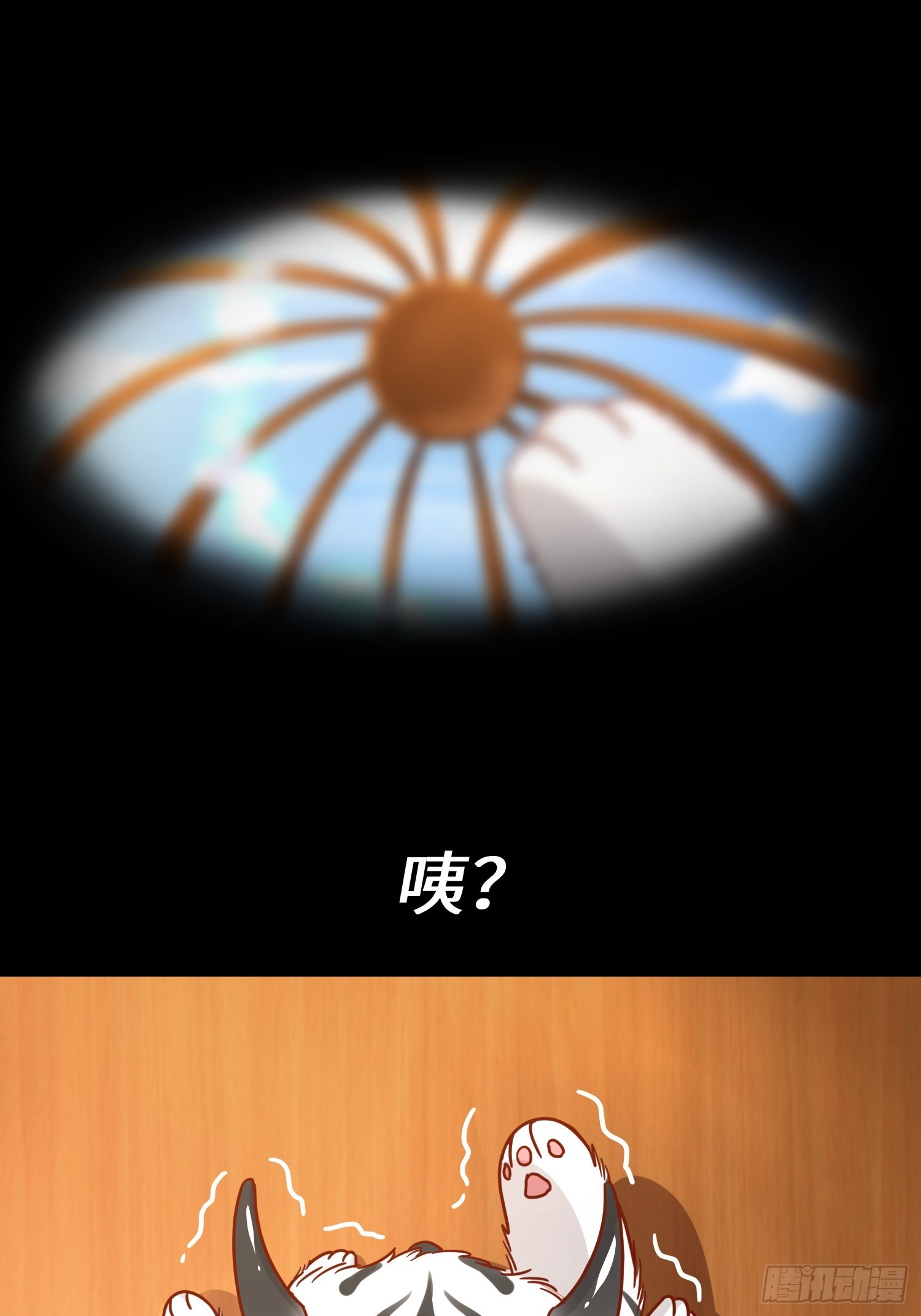 章节图片