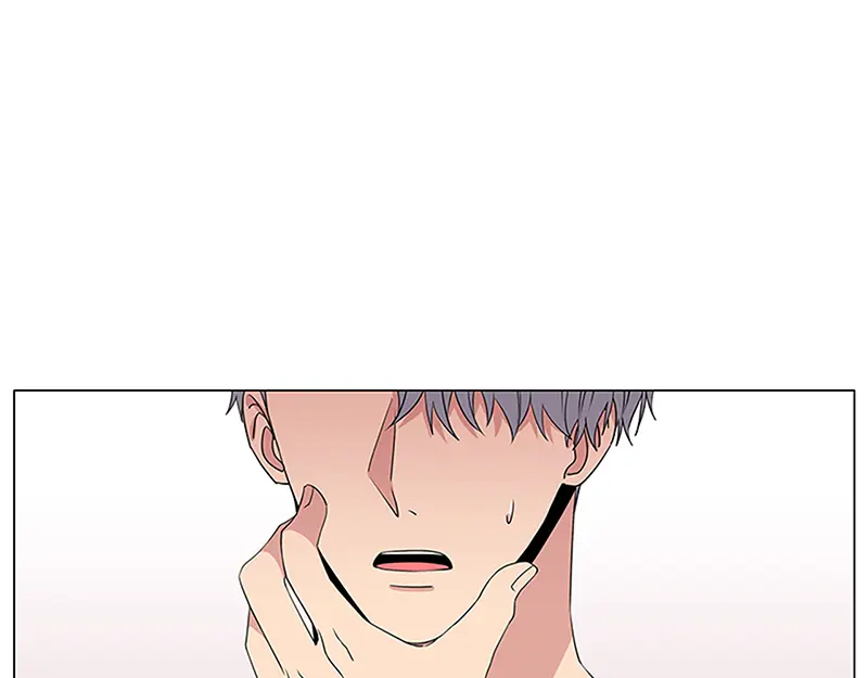 章节图片