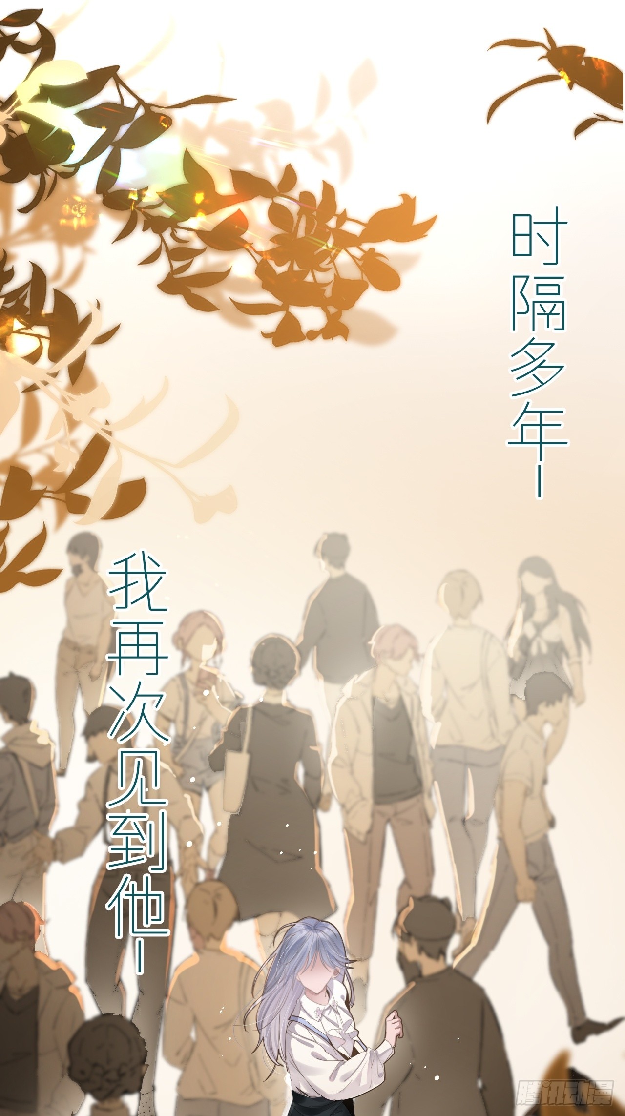 章节图片