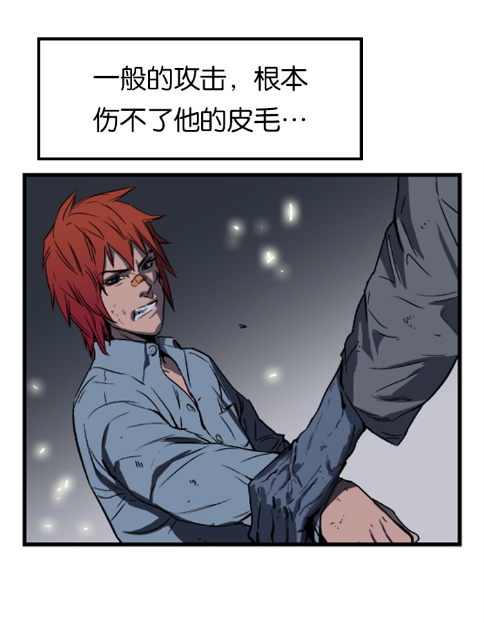 章节图片