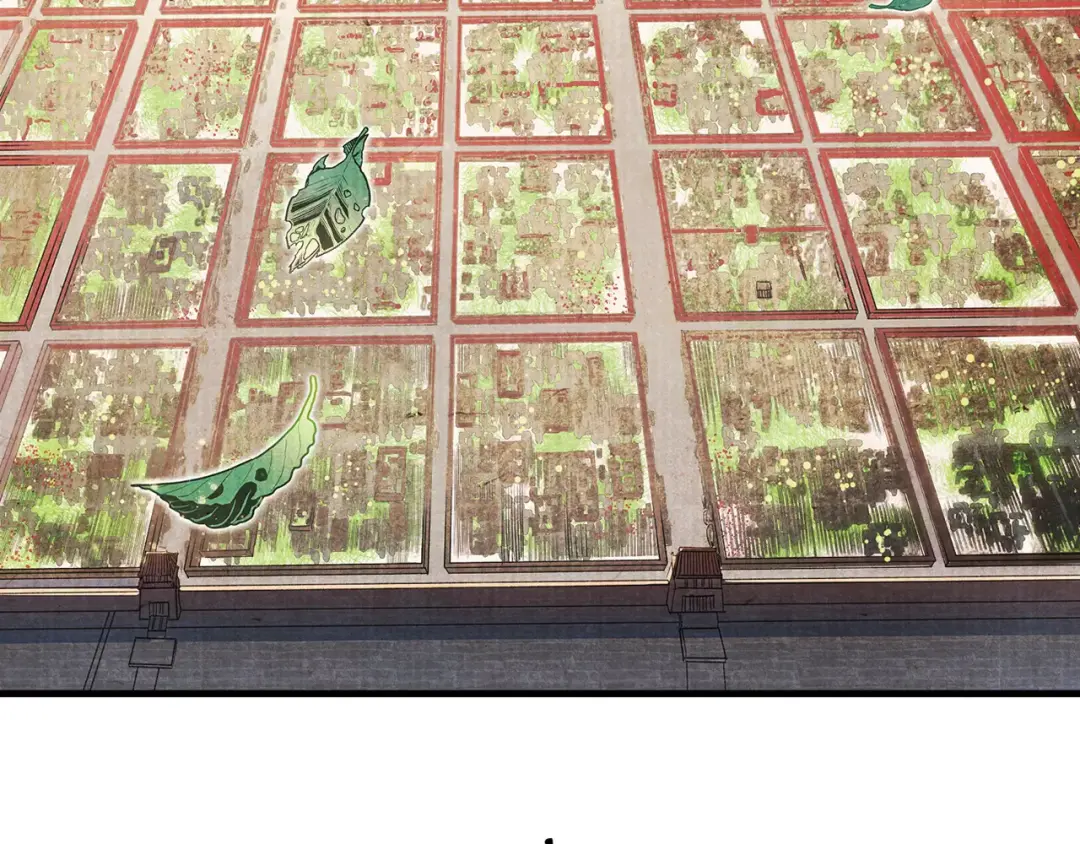 章节图片