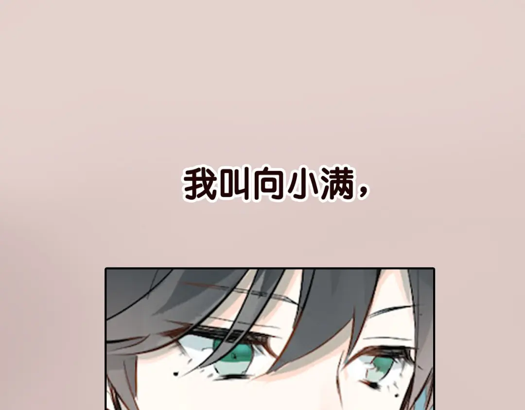 章节图片