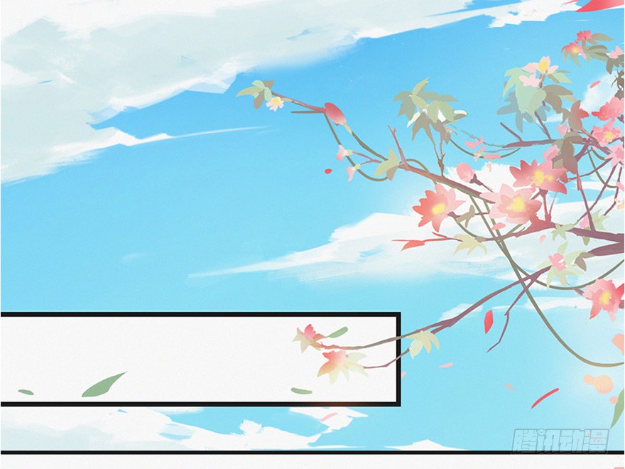 章节图片