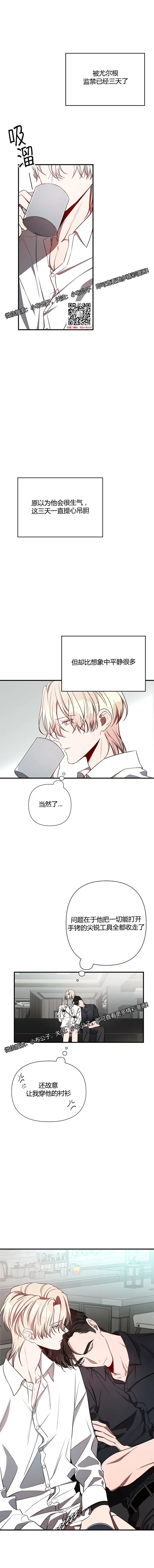 章节图片