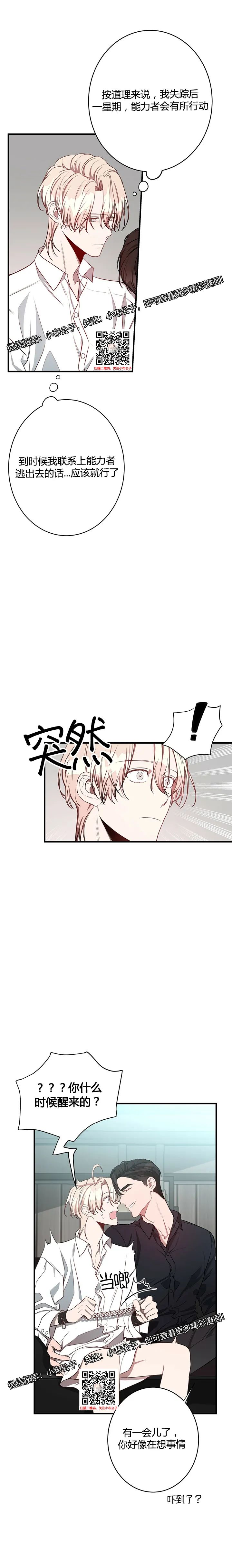 章节图片