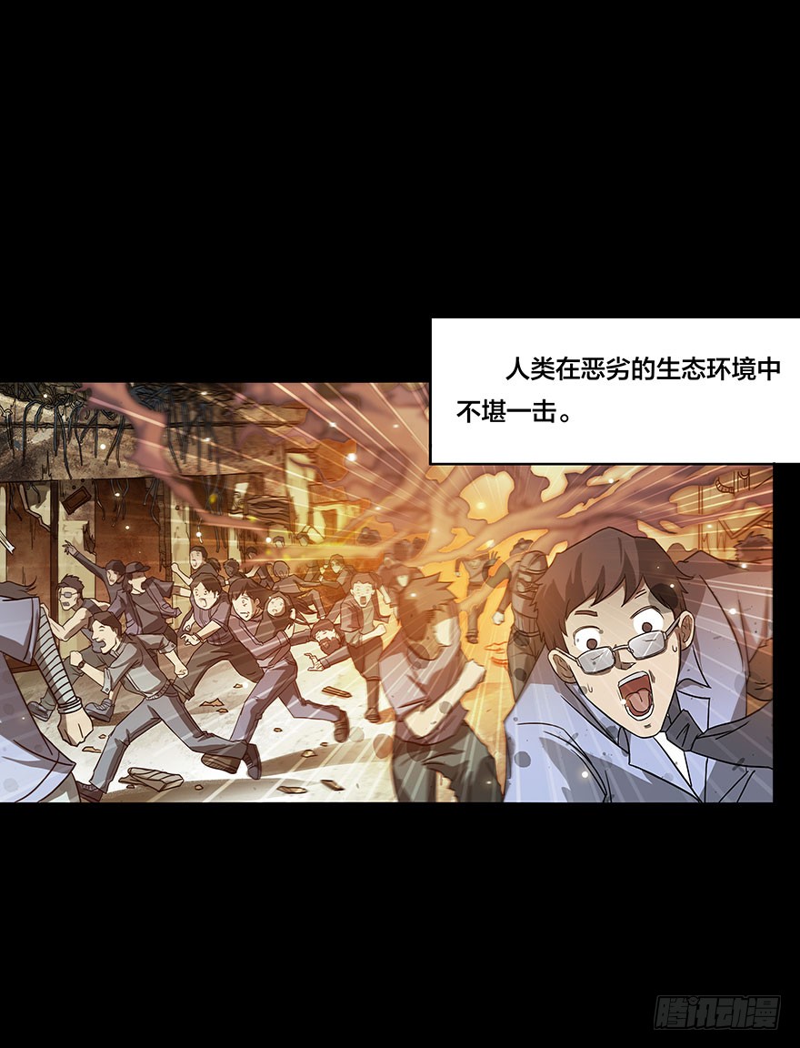 章节图片