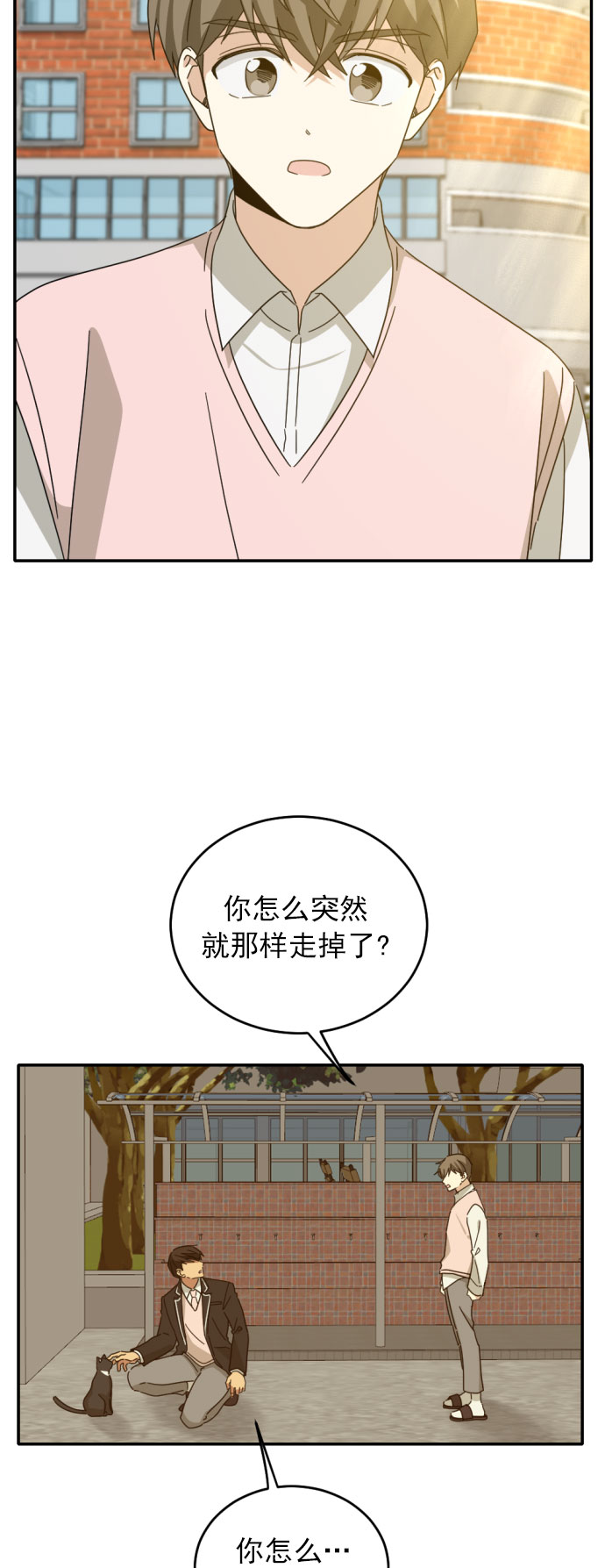 章节图片