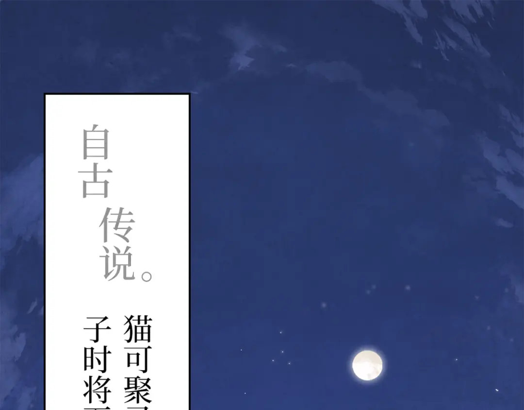 章节图片