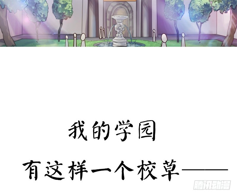章节图片