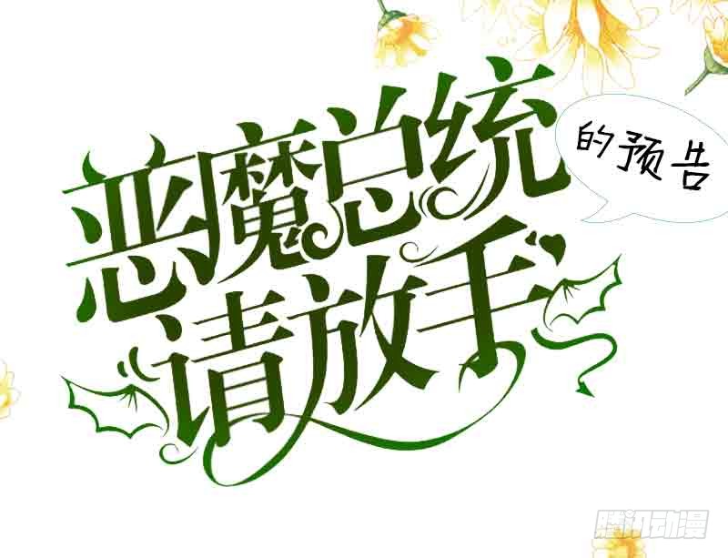 章节图片