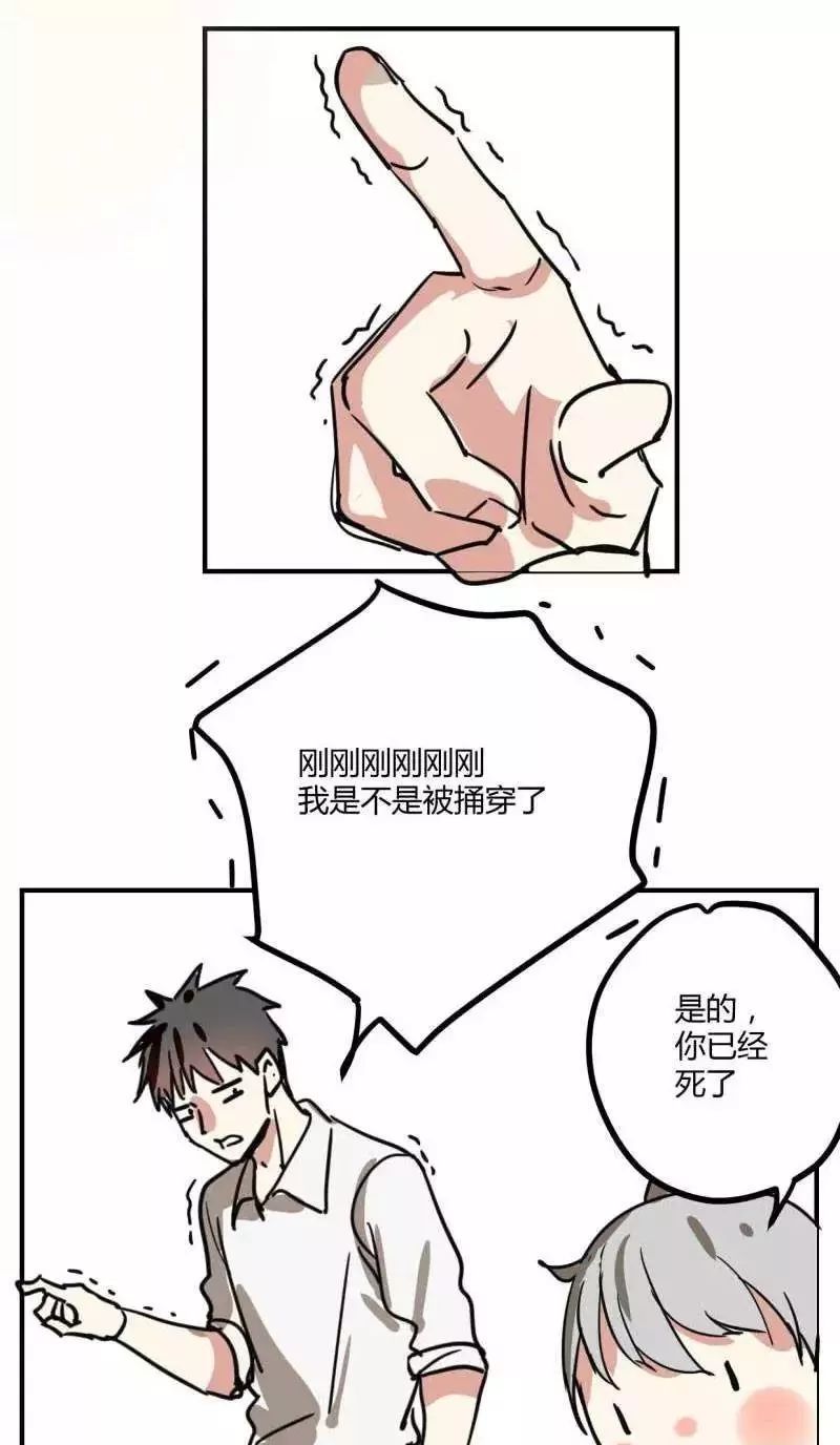 章节图片